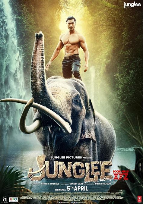 'Junglee' collection: Vidyut Jammwal starrer earns ₹21.20 crores in its first week - The Indian Wire