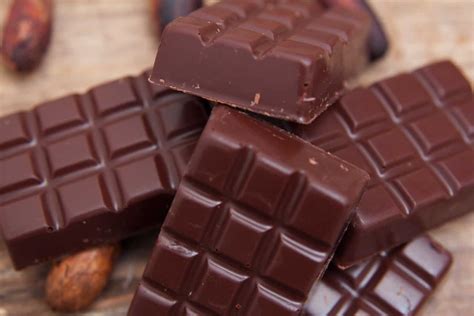 Chocolate May Disappear by 2050 - Nature World Today