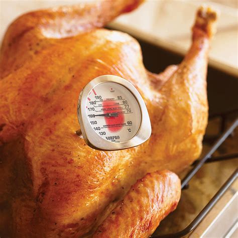 Download The Best Turkey Thermometer Images - Backpacker News