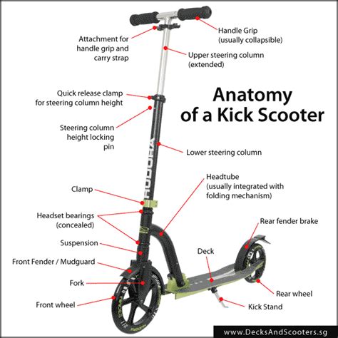 How to choose a kick scooter for adults — Decks And Scooters