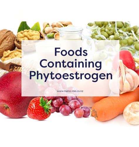 Foods containing Phytoestrogens List | Meno-Me®