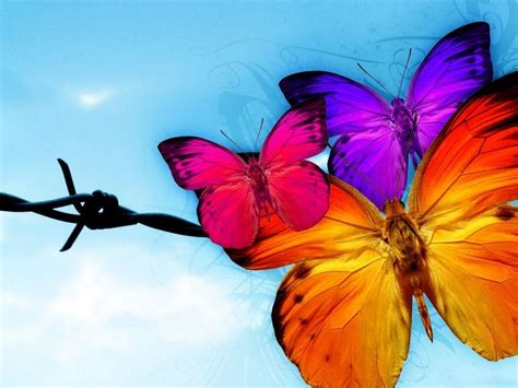 Do the butterflies bring out the magic in you? - Good Leadership Enterprises