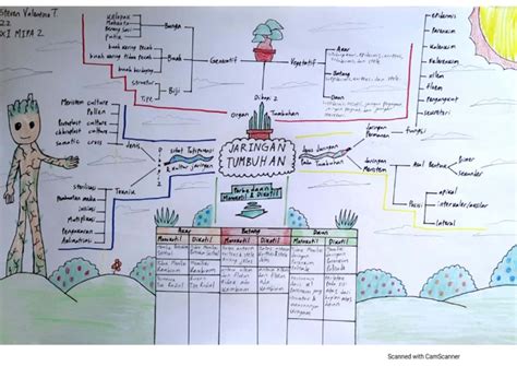 Tugas Mind Map Jaringan Tumbuhan | PDF