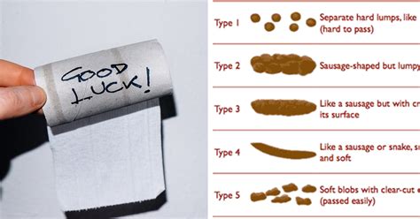 What Your Poop Shape Means - ATTN: