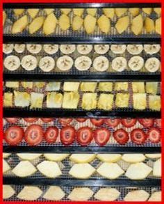 Great recipes and instructions for dehydrating no sugar added fruits ...