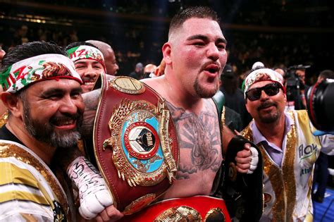 Full list of boxing world champions 2019: Every division title holder from heavyweight to ...