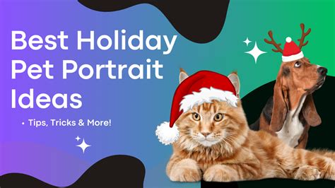 How to Get the Best Christmas Pet Photos: Essential Tips for Holiday Pet Portraits — Betr Pet