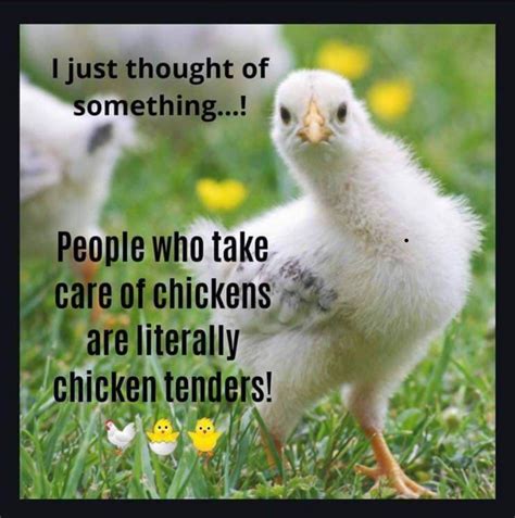 Pin by Melissa Lozano on ☻ Made me laugh ☻ in 2023 | Chickens backyard, Chicken humor, Chicken ...