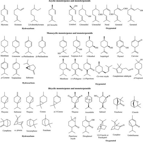 (PDF) Terpenoids as Important Bioactive Constituents of Essential Oils