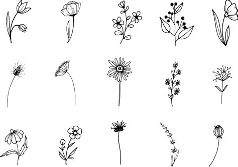 Premium Vector | Wildflower, line art doodle clipart, hand drawn