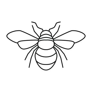 Bee Clip Art Outline