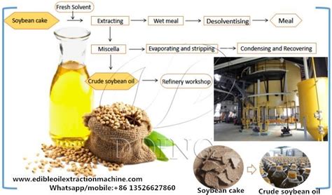 Extracting soybean oil from soybean cake | Soybean oil, Oils, Foraging recipes