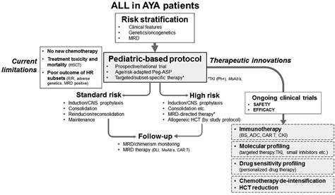 Acute Lymphoblastic Leukemia Patient