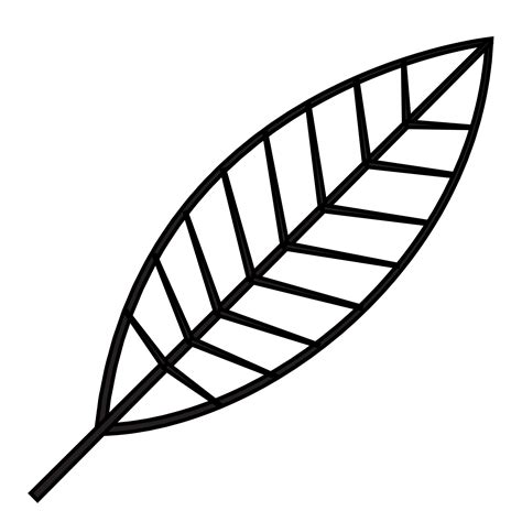 Leaf outline illustration, PNG with transparent background. 11911151 PNG