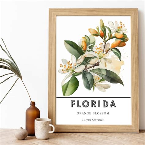 Florida State Flower - Etsy