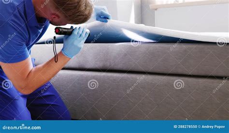 Bed Bug Infestation and Treatment Service Stock Photo - Image of indoor ...