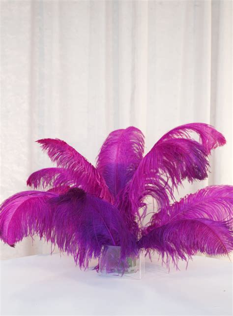 1 Dozen Fuchsia Ostrich Feathers - All Occasions Rentals