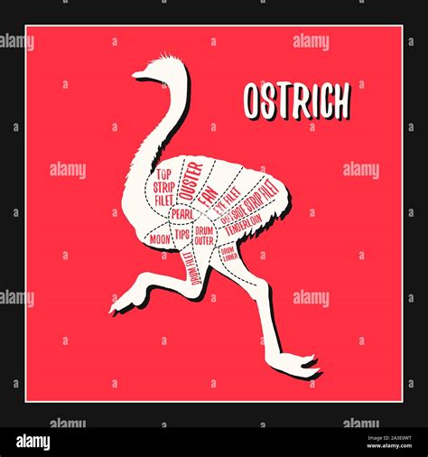 Ostrich Meat Cuts