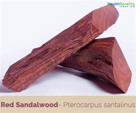 Red Sandalwood facts and health benefits