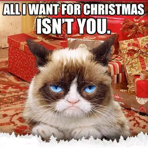 Grumpy Cat Christmas Meme 005 all i want for christmas – Comics And Memes