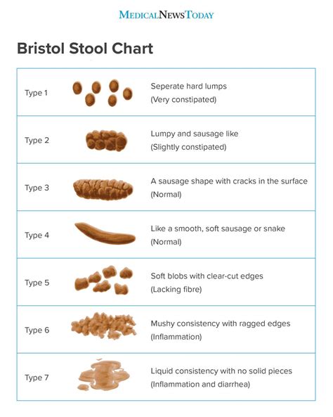 poop stool color changes color chart and meaning healthy concept stock ...