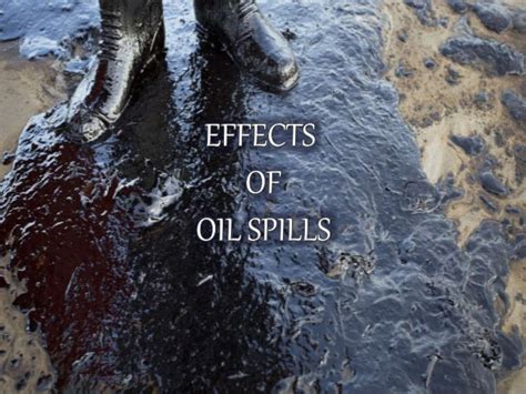 Oil spill (Causes, Control and Prevention)