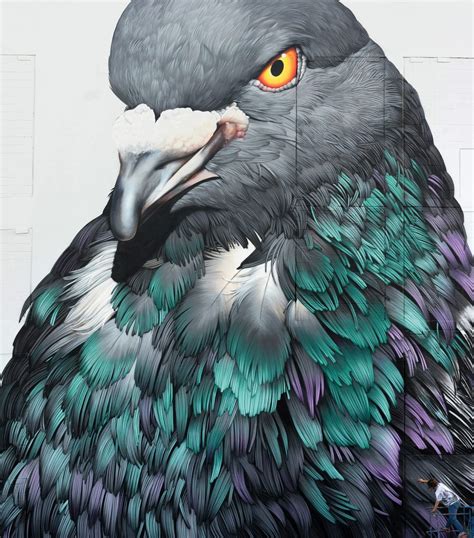 Pigeon Art