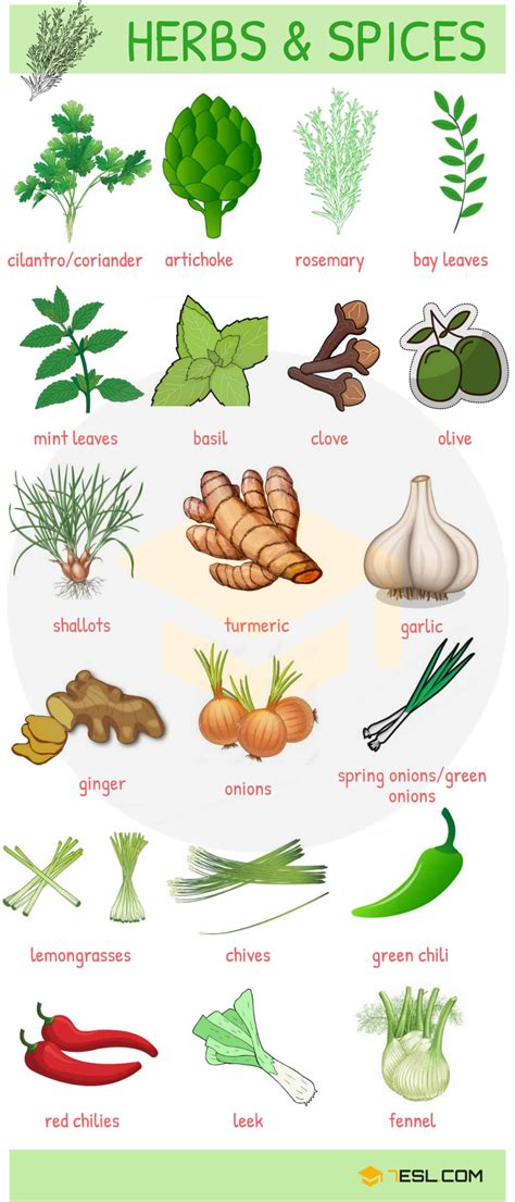 Herbs and Spices Poster