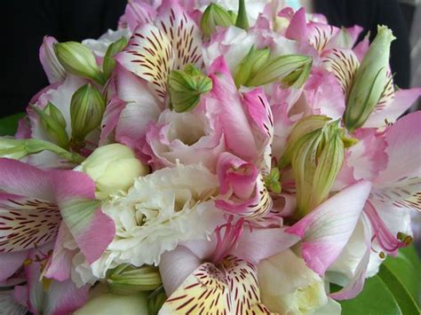 Wedding Flowers | Wedding Flowers. I think they are gladioli… | Flickr