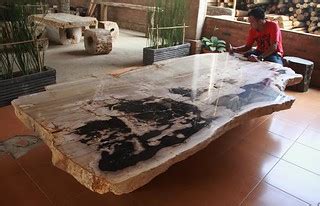 PETRIFIED WOOD DINING TABLE | Our Petrified Wood Fossils pro… | Flickr