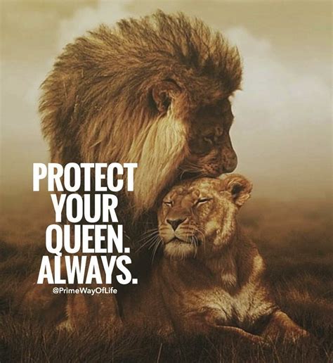 Pin by Jessi James on ☆☆ Love Quotes ☆☆ | Lion quotes, Lion love, King ...