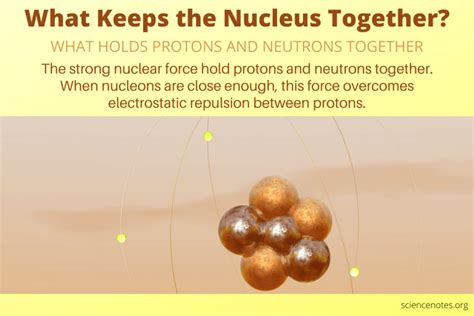 Why Protons and Neutrons Stick Together in the Atomic Nucleus