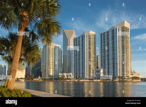 DOWNTOWN SKYLINE MIAMI FLORIDA USA Stock Photo - Alamy