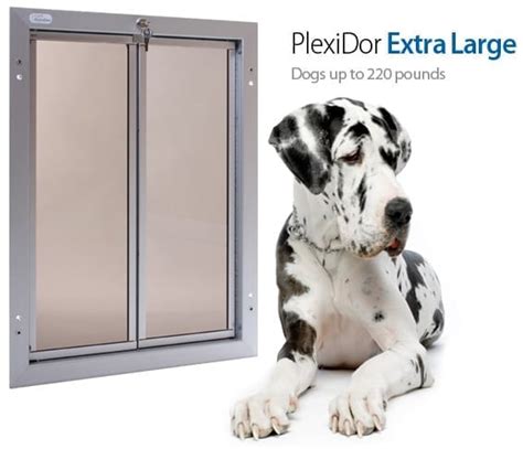 Extra Large Dog Door For Wall | PlexiDor Dog Doors