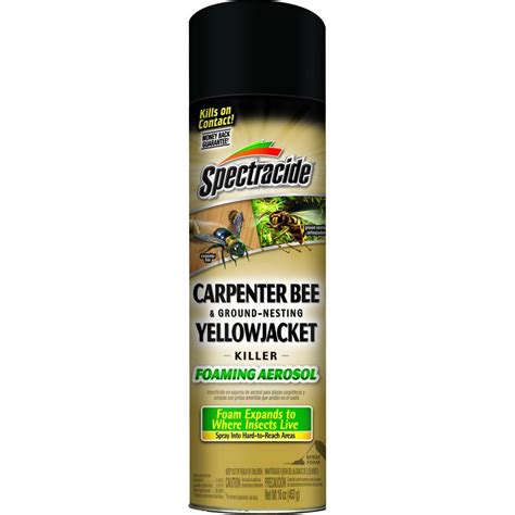 Kill Carpenter Bees Spray - Picture Of Carpenter