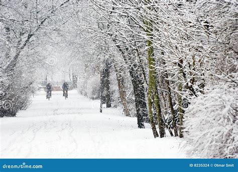 Heavy snowfall stock photo. Image of driving, winter, path - 8235324