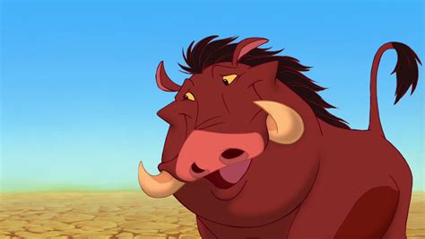 Pumba from Lion King, movies, The Lion King, Disney, Pumba HD wallpaper | Wallpaper Flare