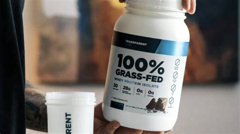 Whey Protein Isolate vs Concentrate: Difference Explained – Torokhtiy Weightlifting