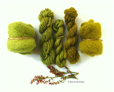 Natural green dye from Sheep Sorrel! OMG so pretty Natural Green Dye, Natural Dye Fabric ...