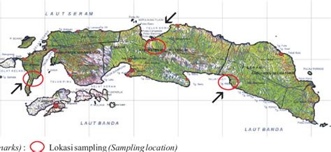 Gambar ( 1. Peta lokasi penelitian Pulau Seram ( Figure) Map of site ...