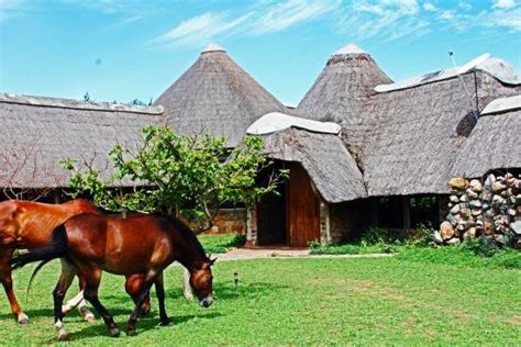 LAKE ALBERT SAFARI LODGE - Uganda Wildlife Safaris, Uganda wildlife Tours, Uganda Safaris