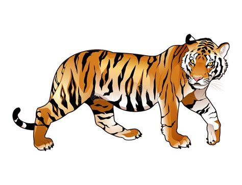 Red tiger. stock vector. Illustration of comic, tail - 30465137