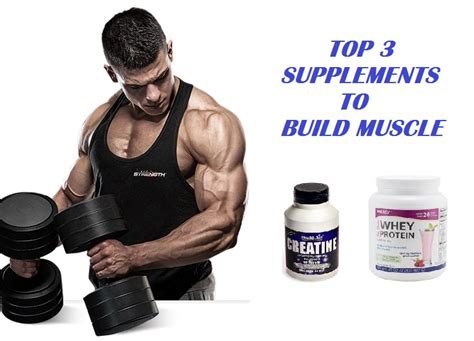 Muscle Palace: The 3 Best Muscle Building Supplements - The Only ...