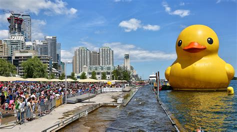 World’s Largest Rubber Duck Delays Fort Worth Migration, Again – NBC 5 Dallas-Fort Worth