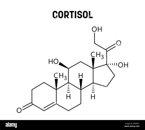 Cortisol molecular structure. Cortisol is a steroid hormone regulating stress response ...