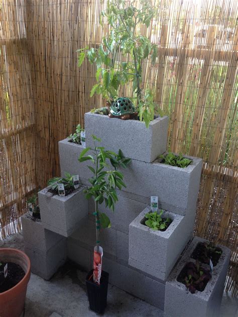 21 Cinder Block Garden Wall Ideas You Must Look | SharonSable