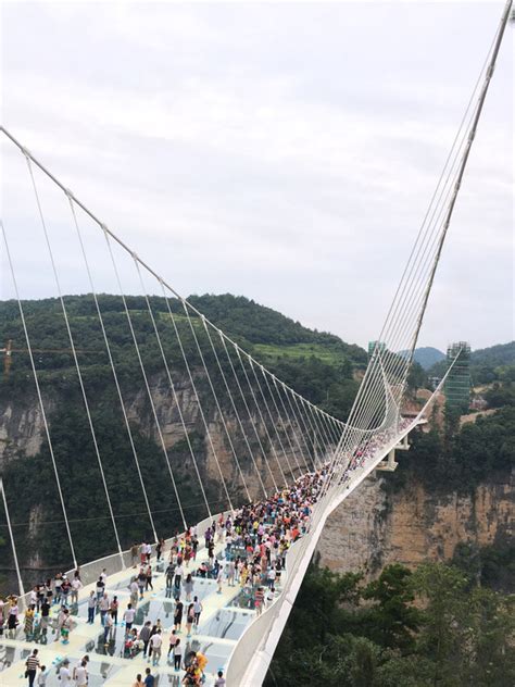 Zhangjiajie Grand Canyon Glass Bridge by Haim Dotan Ltd. | Bridges