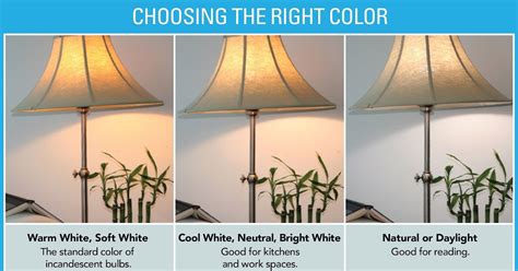 Led Bulb Cool Daylight Vs Warm White - absolutenesshome