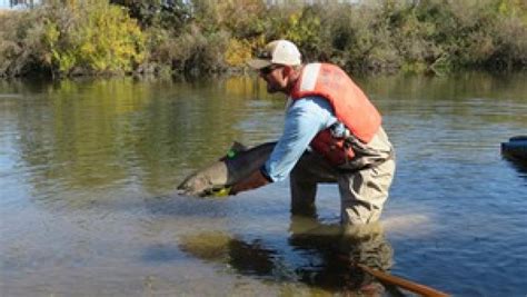 San Joaquin River Restoration Tour 2018 - Water Education Foundation