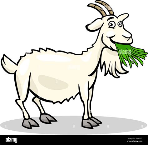 Cartoon Illustration of Funny Goat Farm Animal Stock Vector Image & Art - Alamy